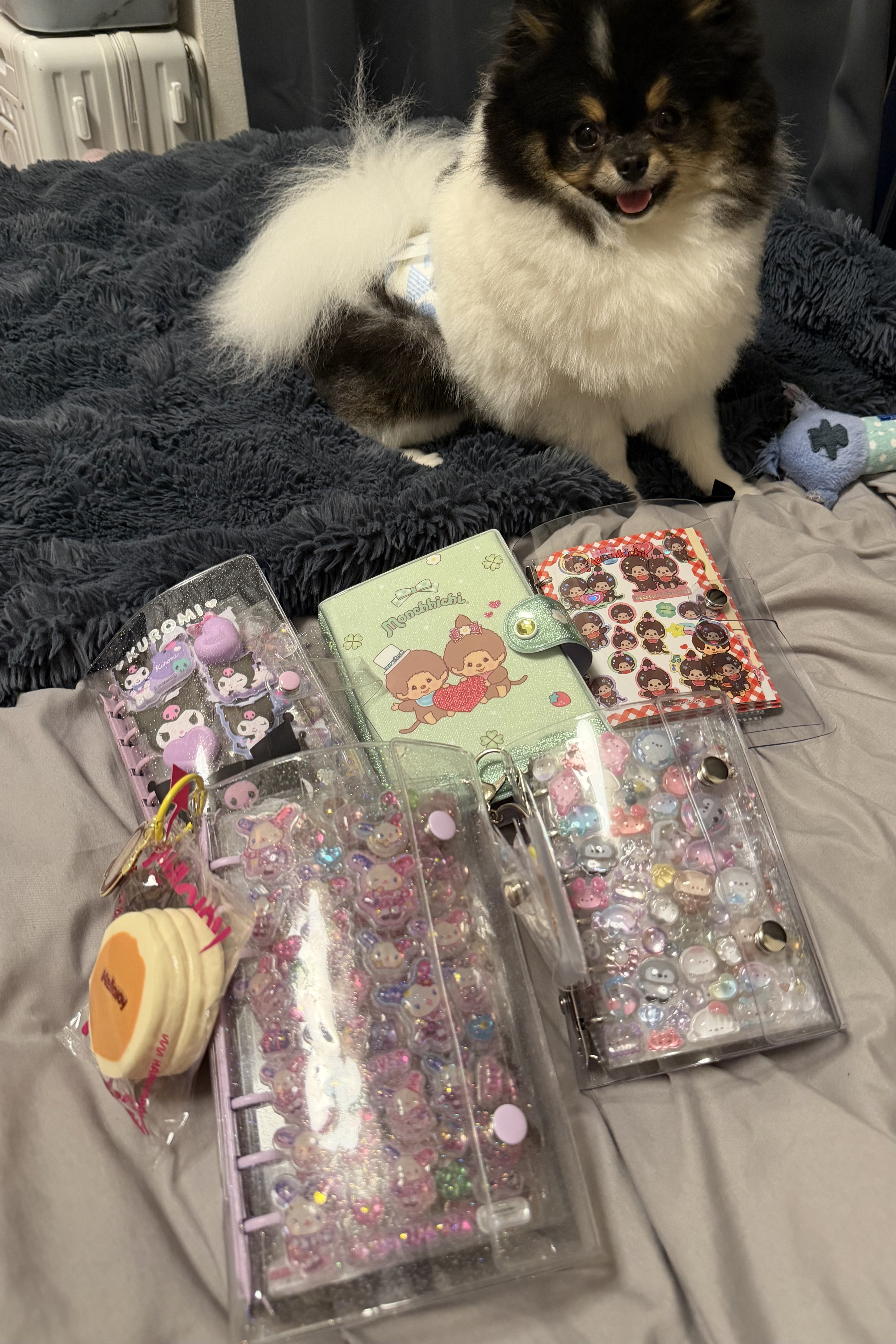 まいぶーむ😚